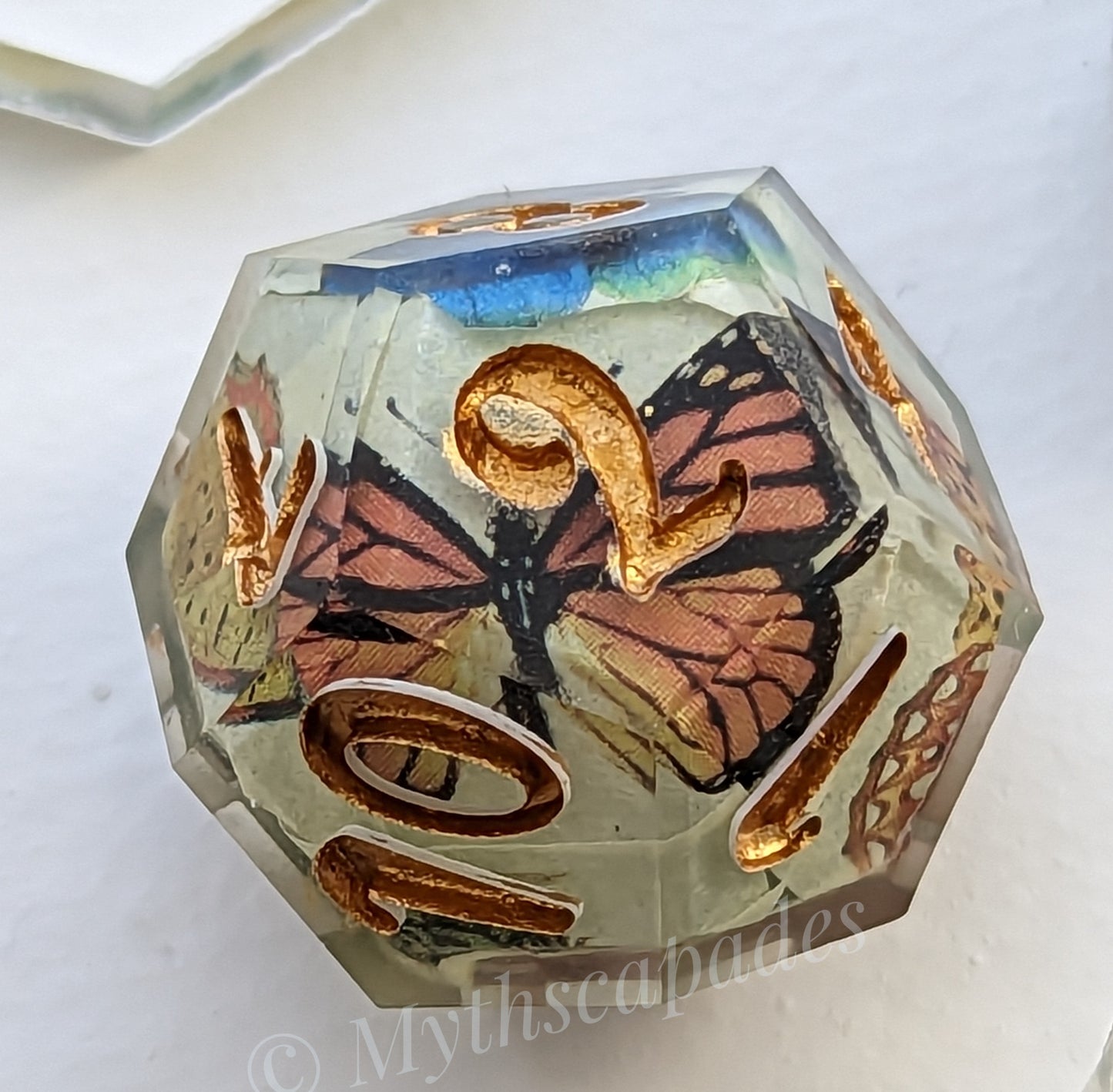Butterfly Garden