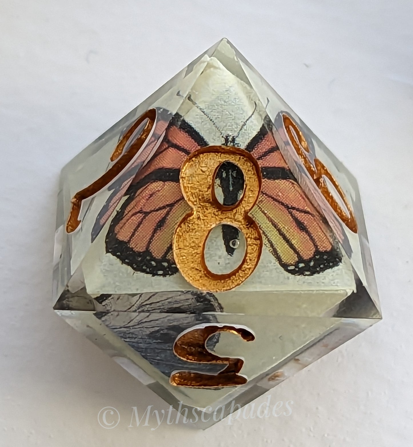 Butterfly Garden
